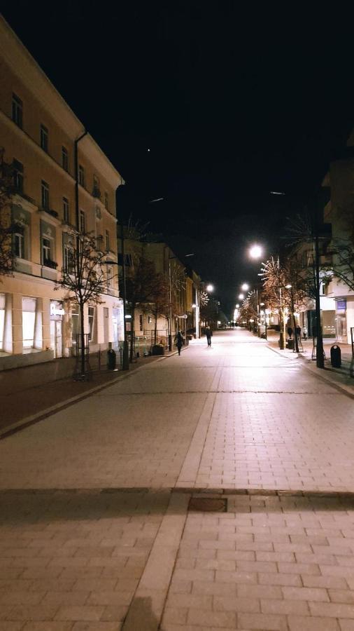Downtown Apartment Rentals Šiauliai Екстериор снимка