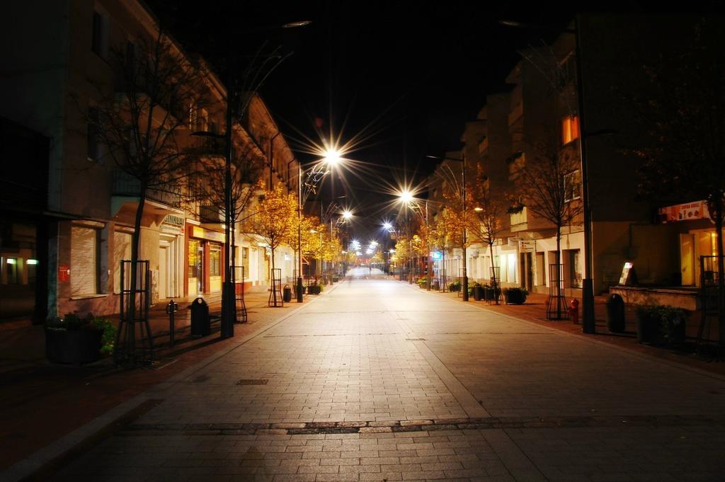 Downtown Apartment Rentals Šiauliai Стая снимка